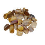 Agatised Coral Natural Fossil Tumbled