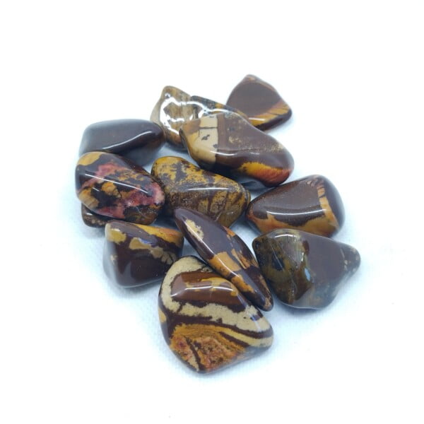 Picture-Nguni-20---25mm