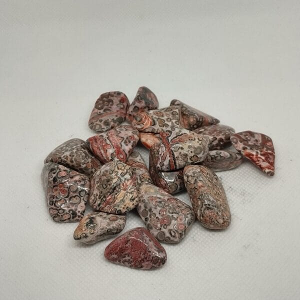 Quartz Crystal Tumble Stone A+ - Jasper Leopard Skin - Medium (20-30mm) - 1