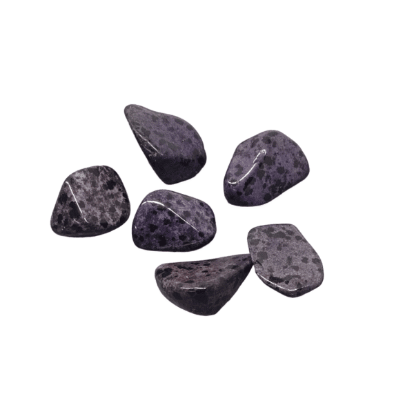 Set 6 Dalmatian Jasper Tumble Stones - Jasper Dalmation Purple