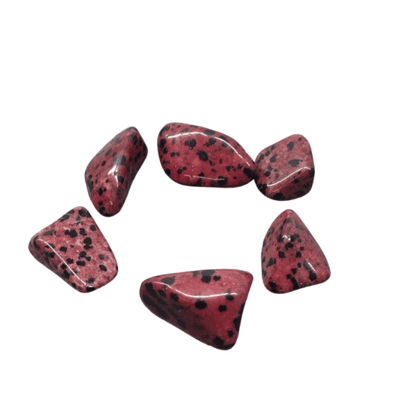 Set 6 Dalmatian Jasper Tumble Stones - Jasper Dalmation Red