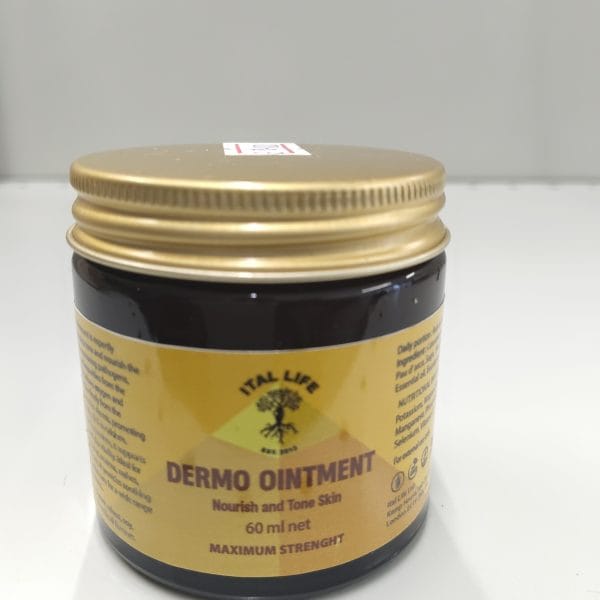 Dermo Ointment 60ml